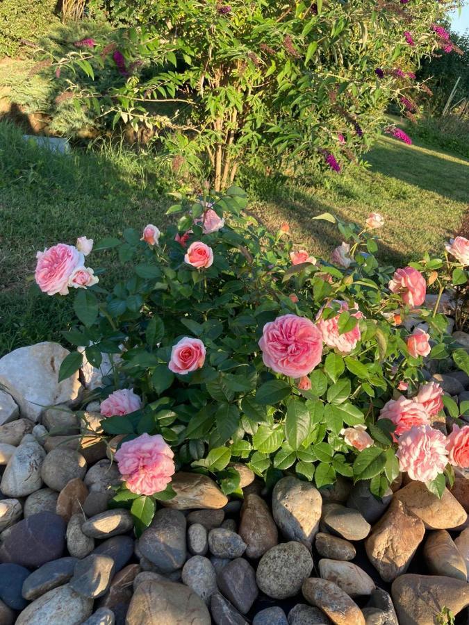 Gite Abeille-Soleil Saint-Nicolas-de-la-Grave ภายนอก รูปภาพ